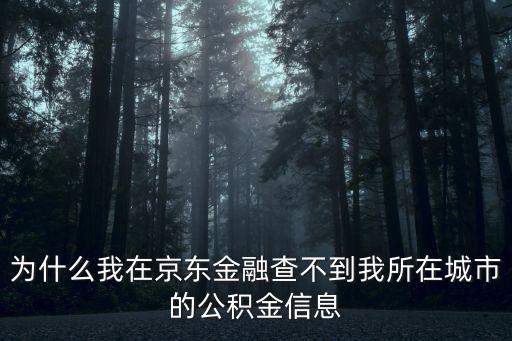 京東金融公積金認證沒有上海市，白條公積金怎么認證