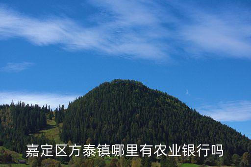 農行上海市分行嘉定支行電話號碼，嘉定南翔鎮哪里有農行