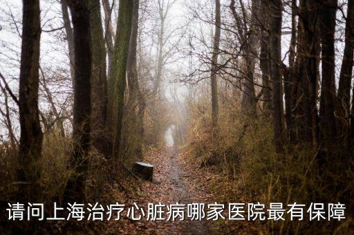 請問上海治療心臟病哪家醫院最有保障