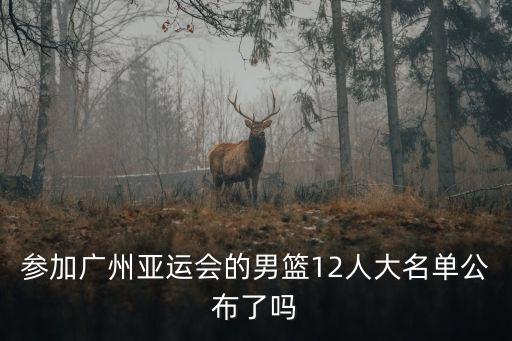 參加廣州亞運會的男籃12人大名單公布了嗎