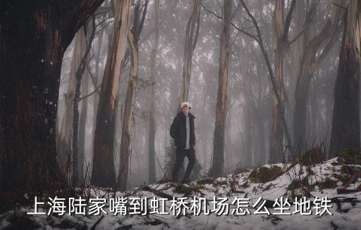 上海陸家嘴到虹橋機場怎么坐地鐵