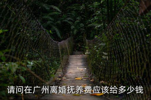 請問在廣州離婚撫養費應該給多少錢