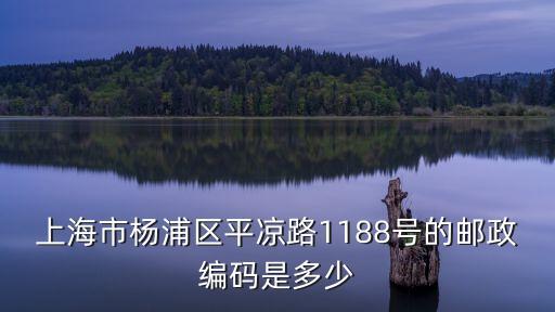 上海市平涼路1090號，上海市楊浦區平涼路1090到武川路19號怎么坐車