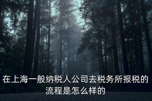 上海市稅務局報稅流程，上海網上報稅流程