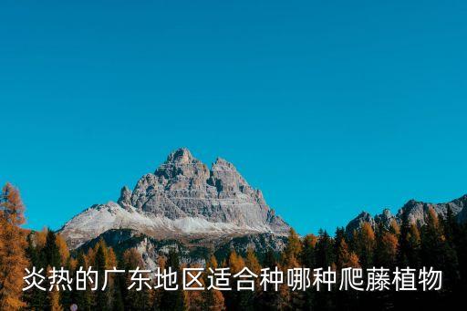 炎熱的廣東地區(qū)適合種哪種爬藤植物