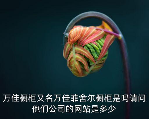 萬佳櫥柜又名萬佳菲舍爾櫥柜是嗎請問他們公司的網站是多少