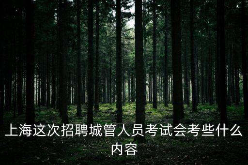 上海這次招聘城管人員考試會(huì)考些什么內(nèi)容