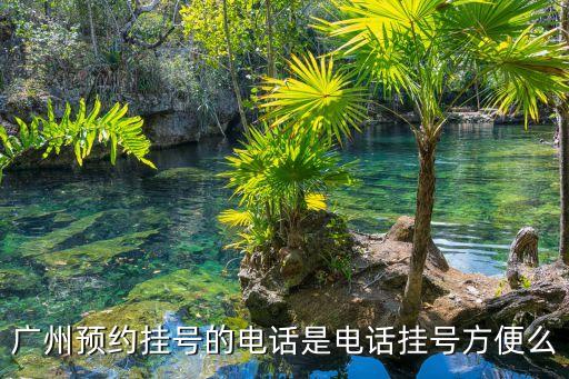 廣州預約掛號統一平臺電話，廣州預約掛號的電話是電話掛號方便么