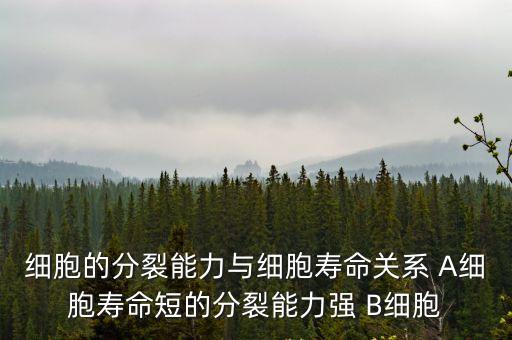 細胞的分裂能力與細胞壽命關系 A細胞壽命短的分裂能力強 B細胞