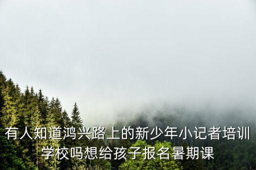 有人知道鴻興路上的新少年小記者培訓學校嗎想給孩子報名暑期課