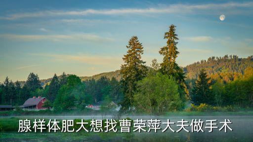 腺樣體肥大想找曹榮萍大夫做手術