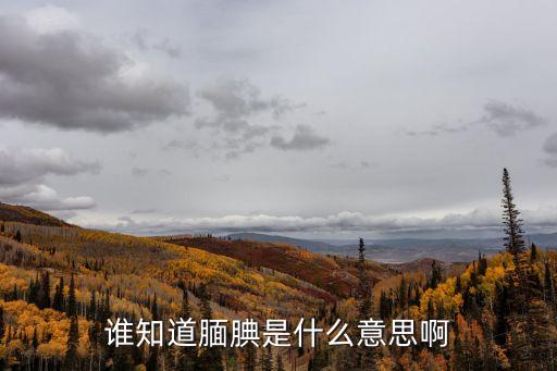 靦腆，靦腆是什么意思