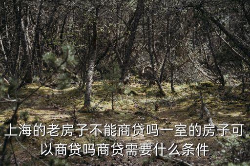 上海市老小區不能貸款，上海的老房子不能商貸嗎一室的房子可以商貸嗎商貸需要什么條件