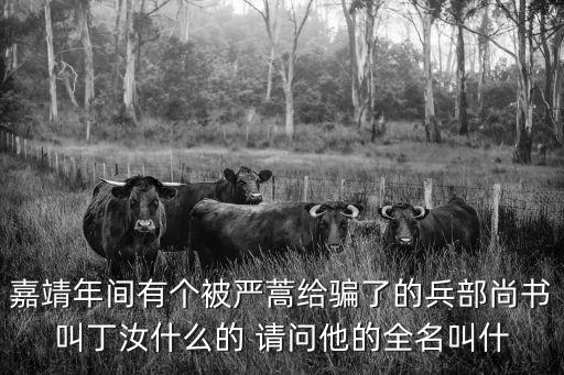 丁汝夔，嘉靖年間有個被嚴蒿給騙了的兵部尚書叫丁汝什么的 請問他的全名叫什
