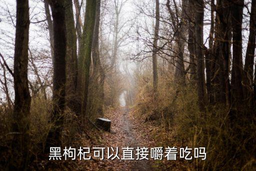 黑枸杞可以直接嚼著吃嗎