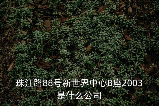 珠江路88號新世界中心B座2003是什么公司