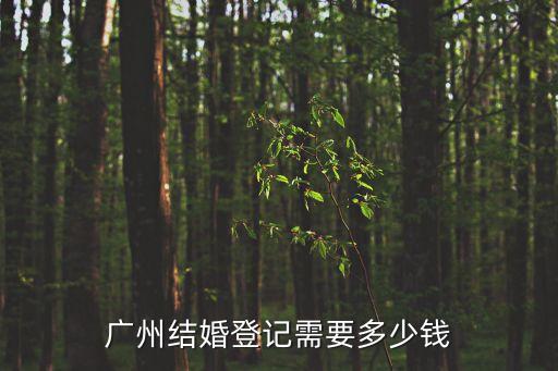 廣州結婚費用多少，在廣州結婚大概要花多少錢