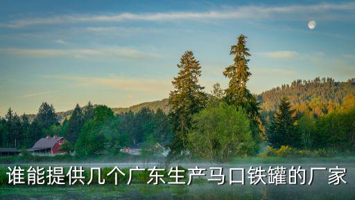 誰能提供幾個廣東生產馬口鐵罐的廠家