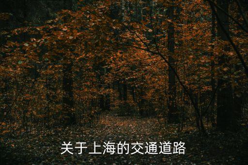 關(guān)于上海的交通道路