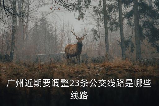 廣州公交車最新規劃，廣州目前更改了多少條公交線路