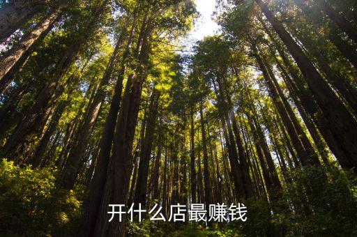 開什么店最賺錢