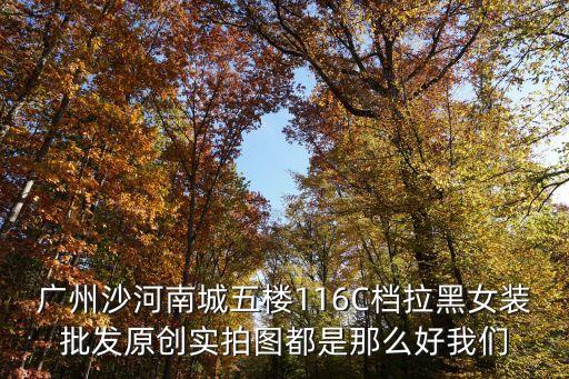 廣州沙河南城五樓116C檔拉黑女裝批發原創實拍圖都是那么好我們