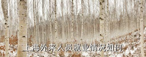 上海市外來人員就業，在哪里辦啊