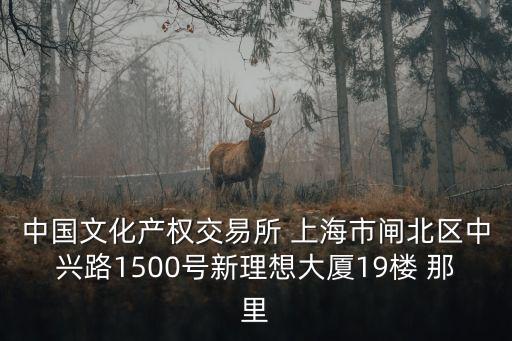 中國文化產權交易所 上海市閘北區中興路1500號新理想大廈19樓 那里