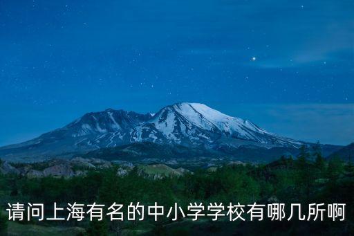請問上海有名的中小學學校有哪幾所啊