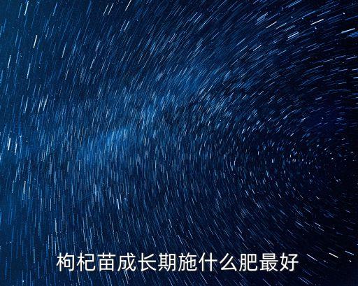 枸杞苗，黑枸杞苗長啥樣我想買點叢希黑枸杞自己種
