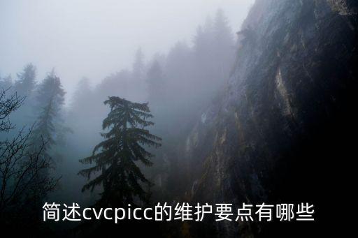 簡述cvcpicc的維護要點有哪些