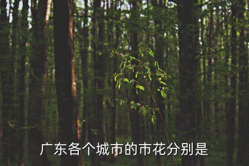廣州城紫荊花，我國下列城市的市花
