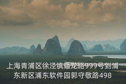 上海青浦區徐涇鎮蟠龍路999號到浦東新區浦東軟件園郭守敬路498