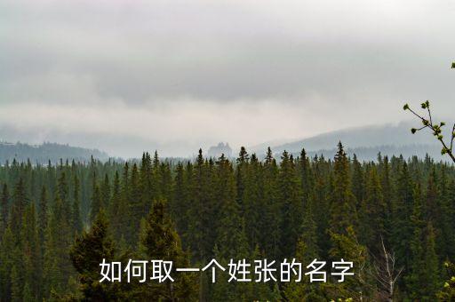 如何取一個姓張的名字