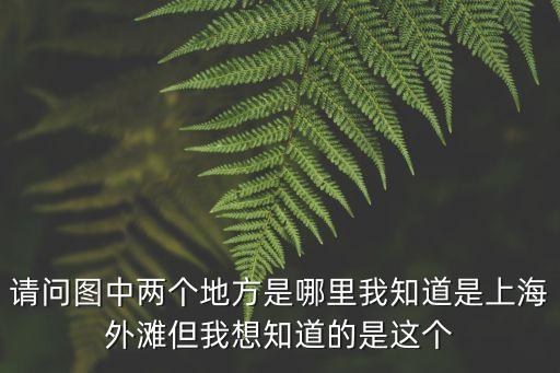 請問圖中兩個地方是哪里我知道是上海外灘但我想知道的是這個