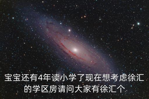 寶寶還有4年讀小學(xué)了現(xiàn)在想考慮徐匯的學(xué)區(qū)房請(qǐng)問大家有徐匯個(gè)