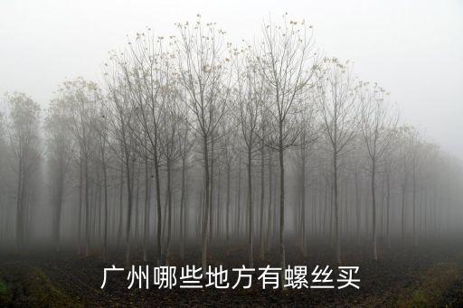 廣州哪些地方有螺絲買