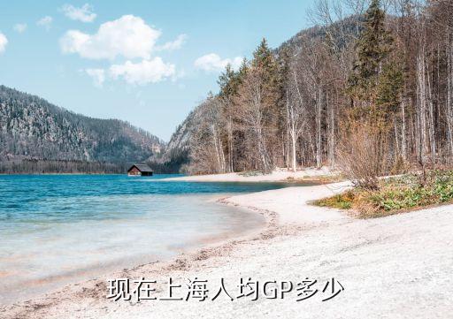 2018年上海市人均資產總值，現在上海人均GP多少