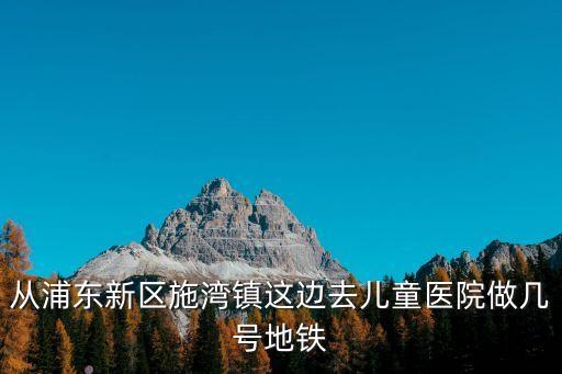 從浦東新區施灣鎮這邊去兒童醫院做幾號地鐵