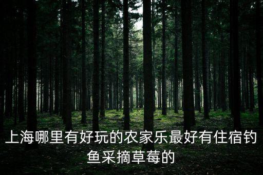 上海市摘水果農莊，上海哪些地方有草莓園可以自己進去摘的那種具體路線怎么走