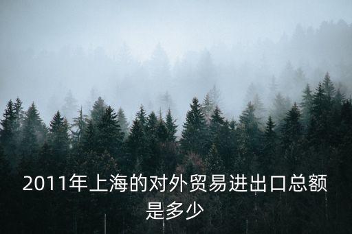 上海市對外經(jīng)濟調(diào)查報告，2011年上海的對外貿(mào)易進出口總額是多少