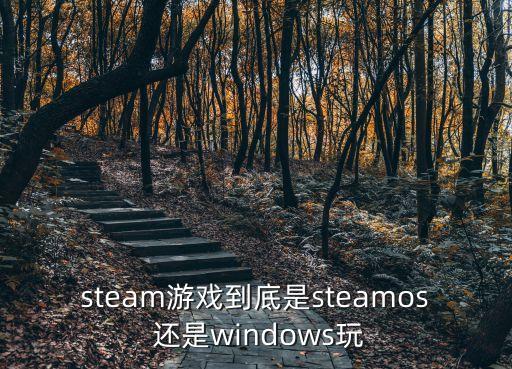 steam游戲到底是steamos 還是windows玩
