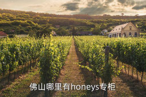 廣州言幾有旗艦店嗎，三星I9001