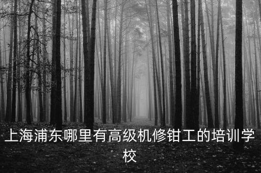 上海浦東哪里有高級機修鉗工的培訓學校