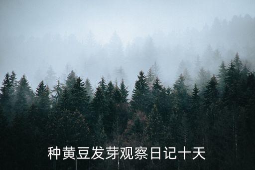 黃豆發芽七天觀察日記，種黃豆發芽觀察日記十天