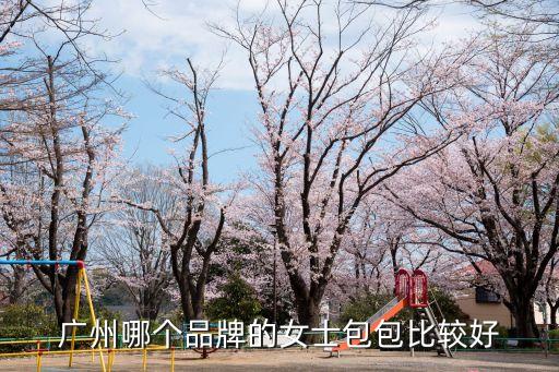 lv盒子和廣州包包哪個好，廣州哪個品牌的女士包包比較好
