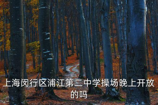上海市閔行浦江第二中學(xué)，上海浦江二中好嗎