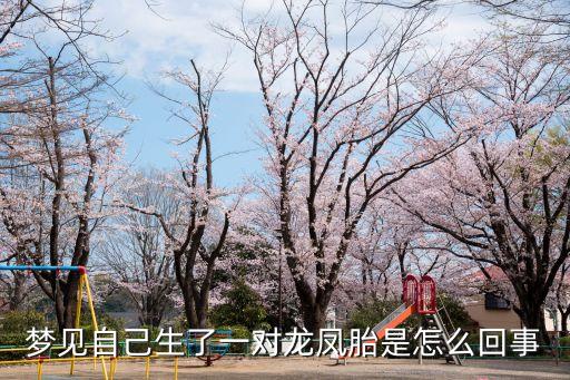 夢見生了雙胞胎，周公解夢見生了雙胞胎