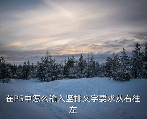 ps豎排文字，PS怎么把字打成豎起的啊