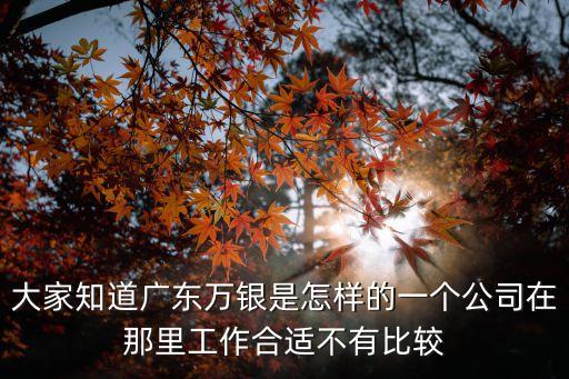 大家知道廣東萬銀是怎樣的一個(gè)公司在那里工作合適不有比較